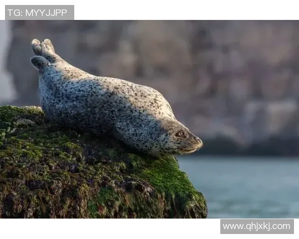 足球明星如何在镜头前巧妙欺骗摄影师的视觉陷阱揭秘 足球明星如何在镜头前巧妙欺骗摄影师的视觉陷阱揭秘